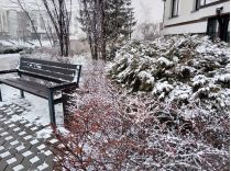 Зима частіше нагадуватиме весну чи осінь, соцмережі