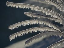 Прогноз погоди на 13-14 грудня. Фото&nbsp;— Pixabay