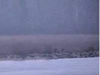 Троє прикордонників рф «прогулялися» хвилерізом, який належить обом державам. Фото&nbsp;— скріншот