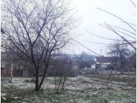 Взимку на дачі можна удобрювати ґрунт, фото інтернет