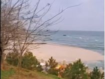 Море в Одесі вкрите плівкою олії, фото скріншот відео