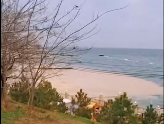 Море в Одессе покрыто пленкой масла, фото скриншот видео