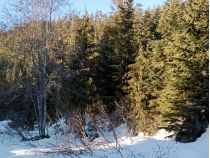 Новий рік буде зі снігом, фото соцмережі