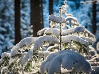 Погода на 29 грудня&nbsp;— 4 січня. Фото Pixabay