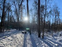 Прогноз погоди на 3-4 січня. Фото автора
