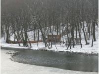 Голосіївський парк, фото соцмережі