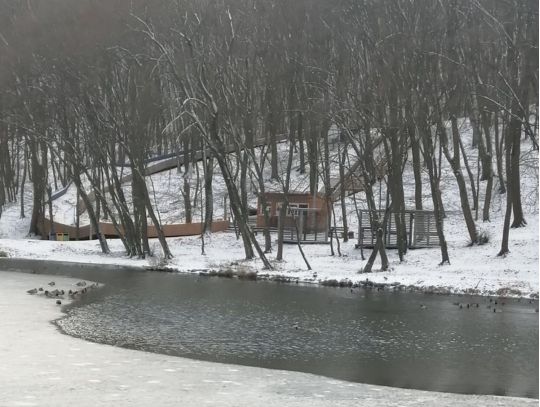 Голосіївський парк, фото соцмережі