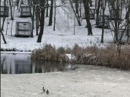 Мороз до&nbsp;-21° й&nbsp;ожеледиця: Україну накриває триденний погодний шторм&nbsp;&mdash; що&nbsp;буде зі&nbsp;світлом