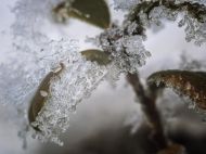 &laquo;Неустойчивый&raquo; январь: на&nbsp;выходных синоптики обещают температурные качели&nbsp;&mdash; от&nbsp;0 на&nbsp;юго-востоке до&nbsp;-20 на&nbsp;западе Украины