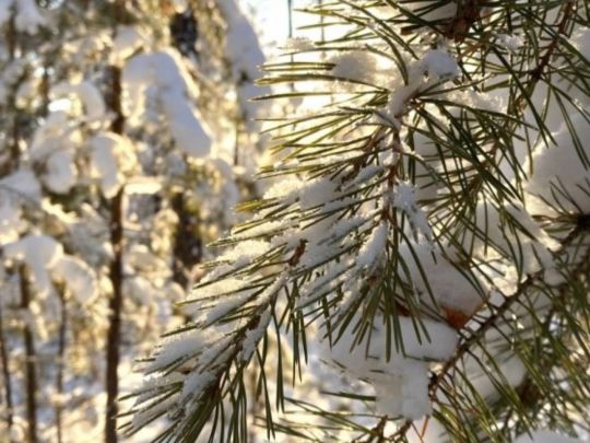 Зірки підсвітлять те, що поспіхом багато хто не помічає, фото з відкритих джерел