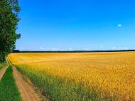 30 млн рублів податків на&nbsp;армію агресора: ЗМІ про колишнього чиновника з&nbsp;Житомирщині, який працює з&nbsp;російським бізнесом
