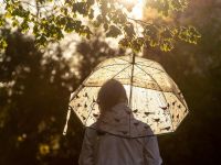 Прогноз погоди на тиждень. Фото Pixabay