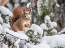 День несет энергию выходного, фото из открытых источников
