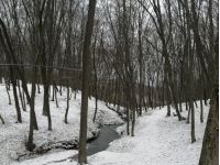 Морози будуть в Україні до кінця січня, фото соцмережі
