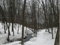 Морозы будут в Украине до конца января, фото соцсети