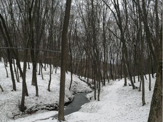 Морози будуть в Україні до кінця січня, фото соцмережі