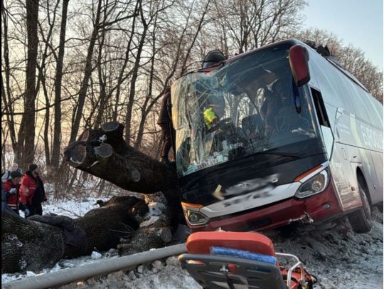 У ДТП розбився автобус Київ-Відень, фото поліції