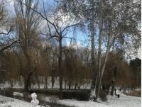 Голосіївський парк, фото соцмережі