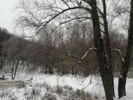 Морози відступають, але ще&nbsp;повернуться: синоптики обіцяють потепління вже завтра