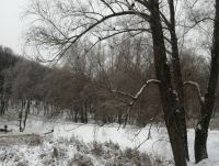 Голосіївський парк, фото соцмережі