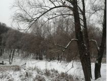 Голосіївський парк, фото соцмережі
