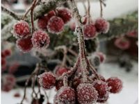 Енергія вихідних підтримує спокійні плани, фото з відкритих джерел