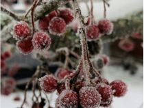 Енергія вихідних підтримує спокійні плани, фото з відкритих джерел