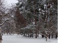 Зима, фото соцмережі