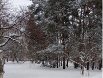 Зима, фото соцмережі