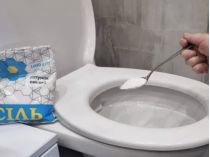 Сіль в унітаз засипати неможна, фото з відкритих джерел