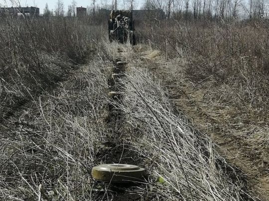 міни