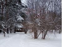 Зима повернулася в Україну, фото соцмережі