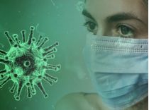 Тропічна інфекція чікунгунья має умови для циркуляції в Європі, фото з відкритих джерел