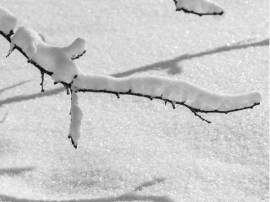 Прогноз погоди на 20-22 лютого. Фото Pixabay