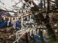 Весна настане з&nbsp;дня на&nbsp;день: наступного тижня в&nbsp;Україні очікується до +13