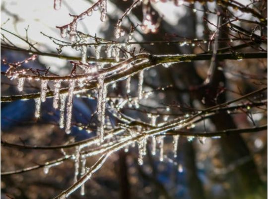 Початок березня буде в Україні теплим, фото з відкритих джерел