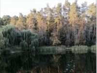 Голосіївський парк, фото соцмережі