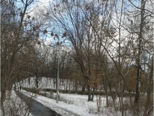 В большинстве регионов погода будет без осадков и со слабым ветром, фото соцсети