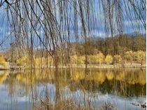 Прогноз погоди в Україні на тиждень