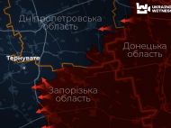 Полонений, поранені й&nbsp;собаки: що&nbsp;побачили журналісти в&nbsp;деокупованому Тернуватому після зачистки ЗСУ