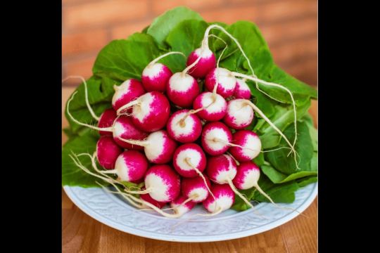 Хрусткий редис за місяць