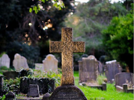 Фото Pixabay
