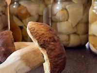 Маринованные грибы от Татьяны Юшиной
