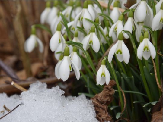 Прогноз погоды на 23-29 марта. Фото Pixabay