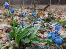 Останній понеділок березня краще прожити спокійно, фото соцмережі