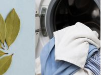 Пряность подходит и для белых, и для цветных вещей, фото из открытых источников