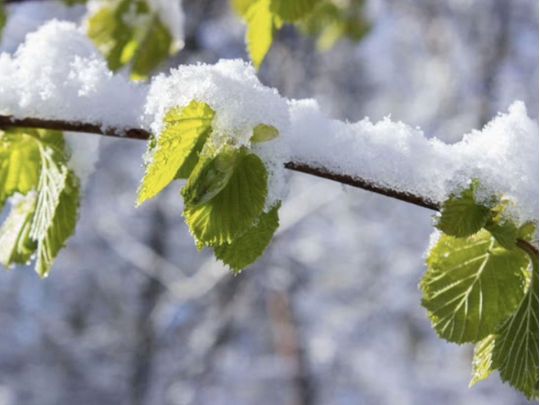 Місцями очікується сніг, фото з відкритих джерел