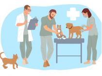 Как уберечься от бешенства - Фото: facebook.com/phc.org.ua