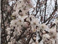 Гороскоп на 11 квітня, фото соцмережі