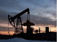 В ОПЕК входят 12 стран, которые контролируют около 30% мирового производства сырья, фото из открытых источников